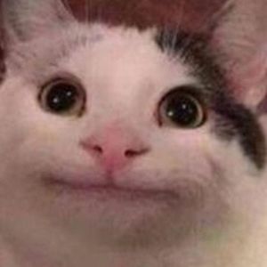 Meet your Posher, Thomas